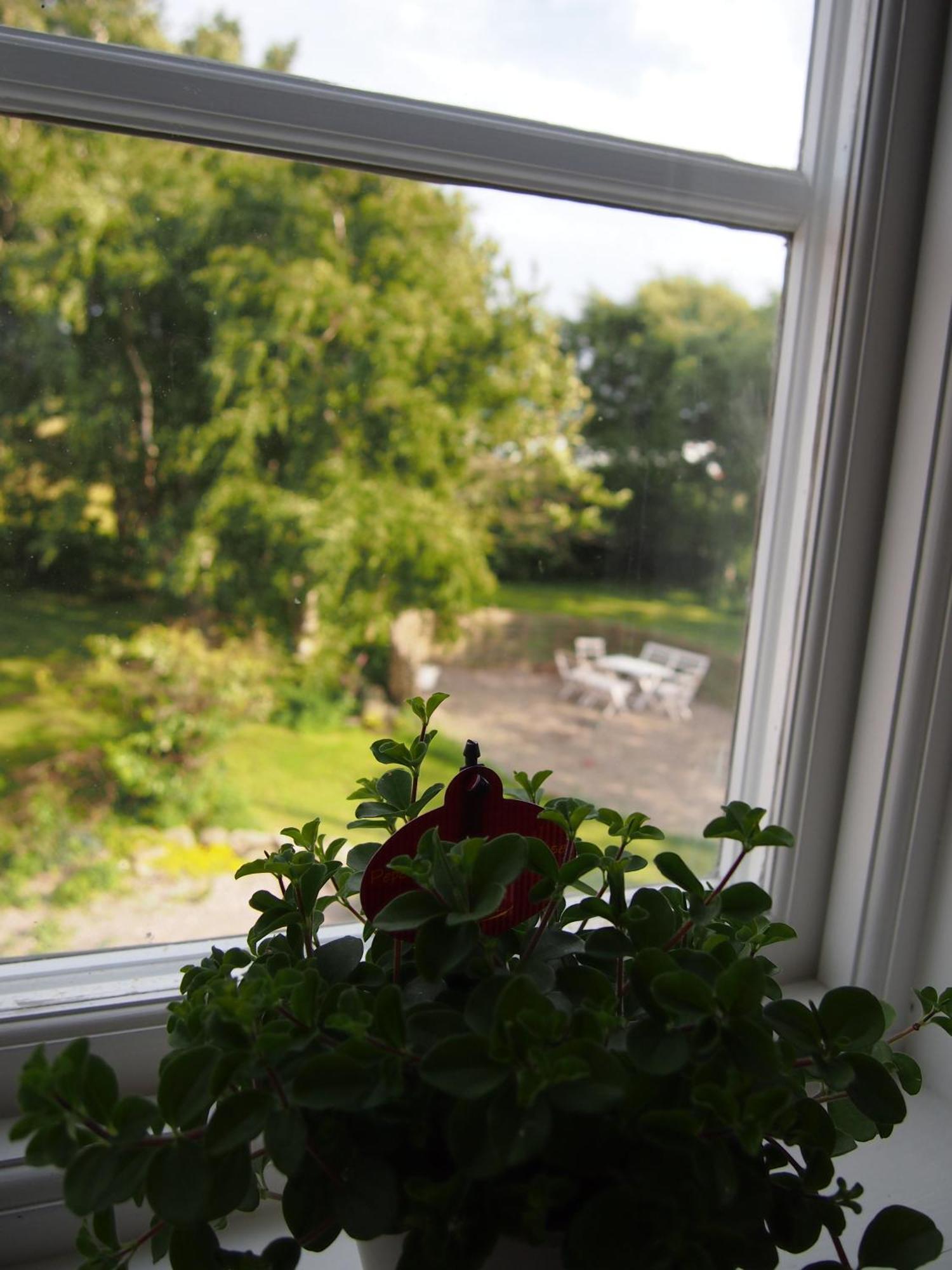 Augustas Bed & Breakfast Bed and Breakfast Falkenberg Rum bild